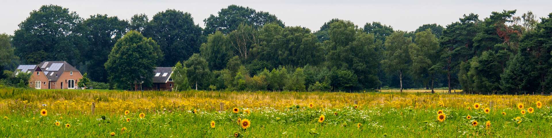 Klik om de knoppen te tonen of te verbergen