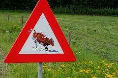 Meer: [Tine van Houselt](http://www.tinevanhouselt.nl/galerie1.php ^) die hier haar boerderij heeft.