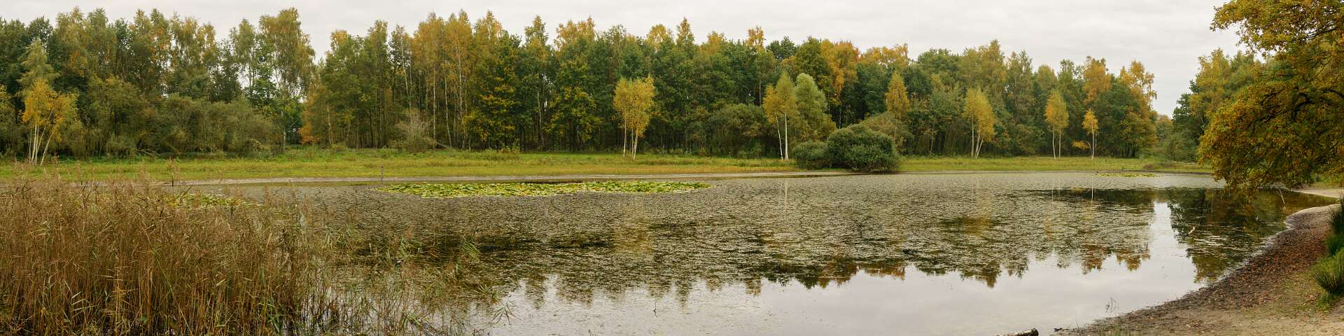 Klik om de knoppen te tonen of te verbergen