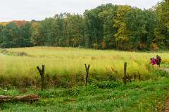 Pieterpad<br>Aspergeveld