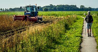 Pieterburen - Winsum