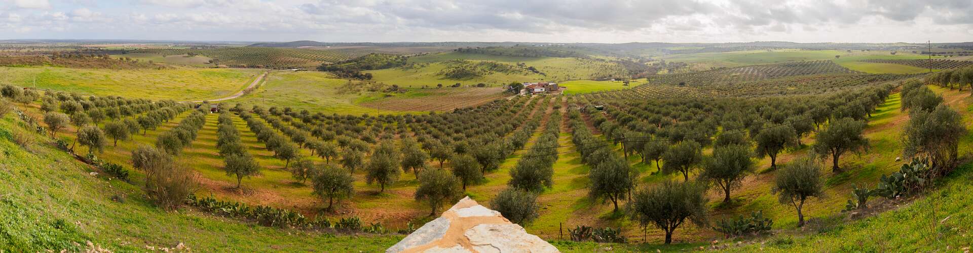 Klik om de knoppen te tonen of te verbergen