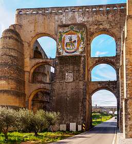 Het gemeentelijk wapen van Elzas