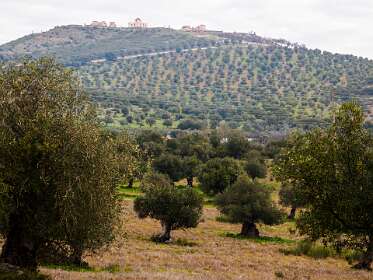Op de heuvel Fort Graca