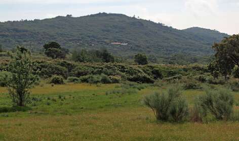 Daar loopt het pad tussen de camping en Castelo de Vide