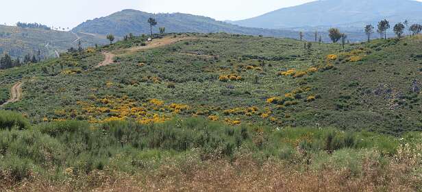 Parque Natural de Serre de Sao Mameda vanaf de top