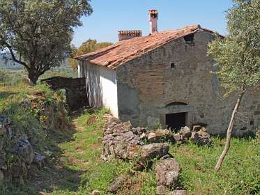 Hierna veel bramenstruiken!!