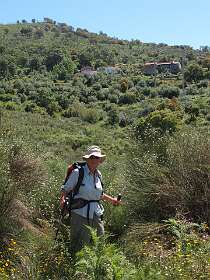 Ongeschonden door de bramen struiken