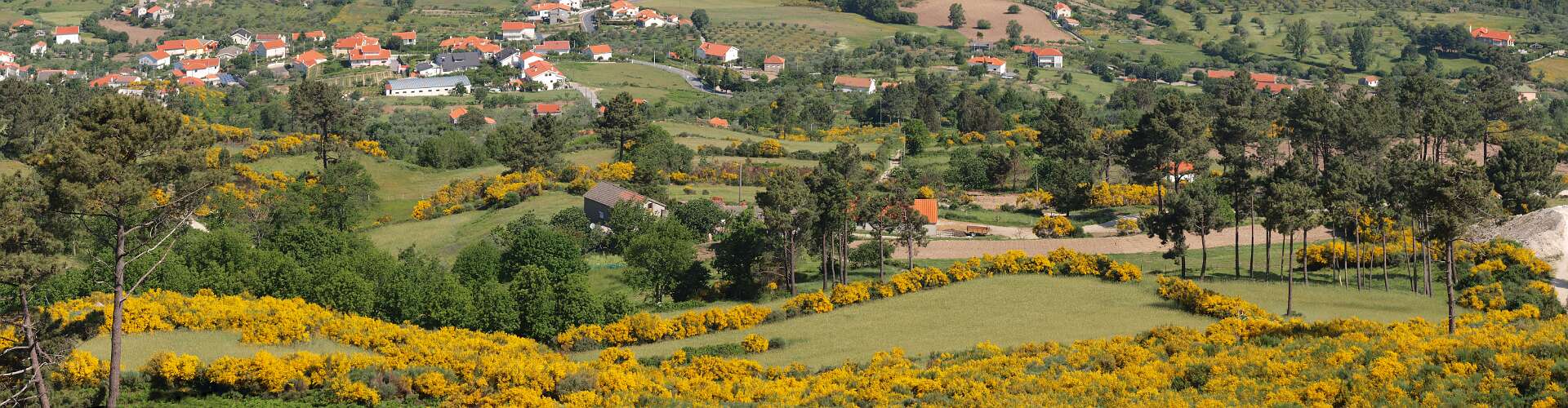 Klik om de knoppen te tonen of te verbergen