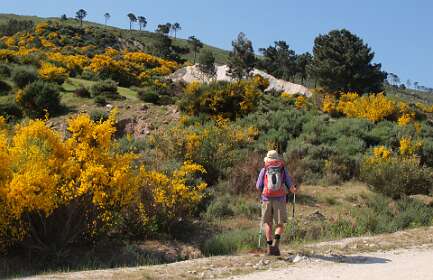 Omhoog achter de camping