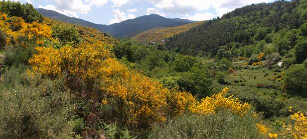 Dit dal moeten we eerst nog door