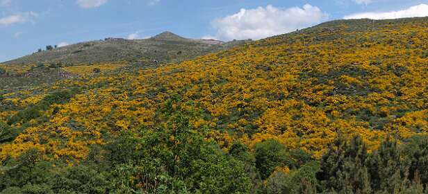 Tergblik op onze route aan de andere kant van het dal