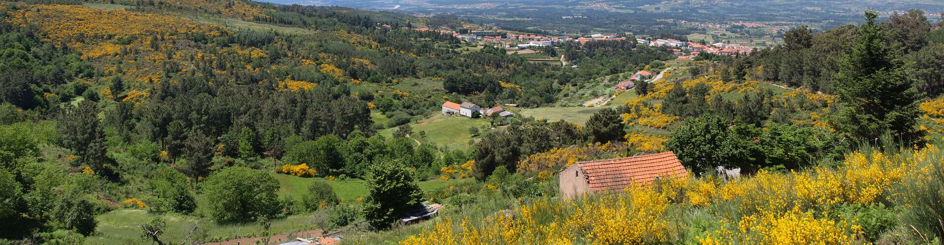 Klik om de knoppen te tonen of te verbergen