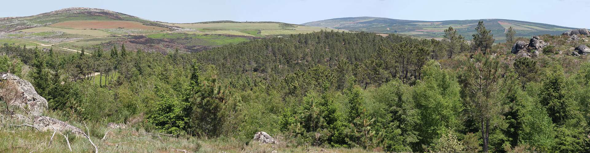 Klik om de knoppen te tonen of te verbergen