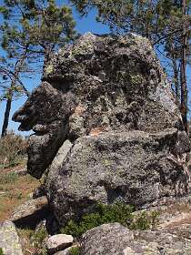 De Pedro de Farao rots