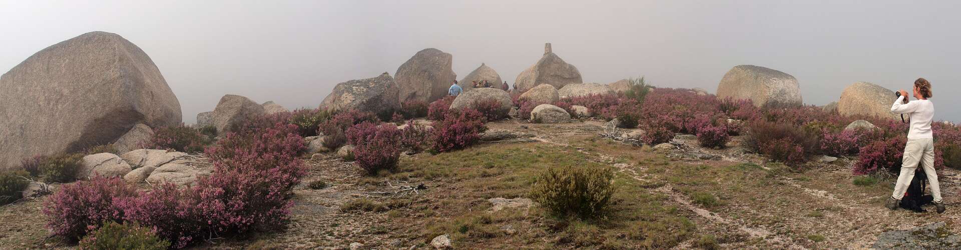 Klik om de knoppen te tonen of te verbergen