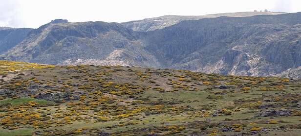 Terugblik op de Torre