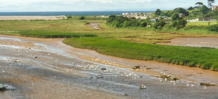 2: 6_6_OtterEstuaria