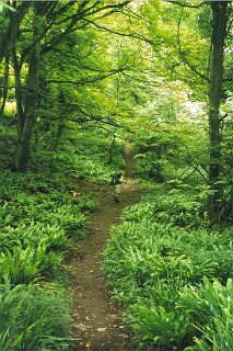 8: 7_15A_DowlandCliffs