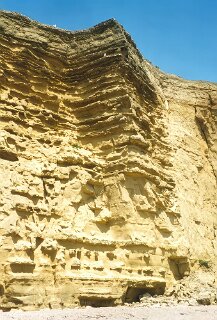 16: 7_30A_BurtonBeach