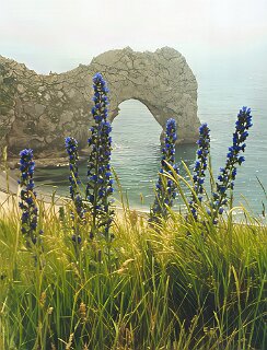 24: 8_14A_DurdleDoor