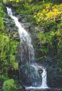 15: 1-23A_Heddons_Mouth