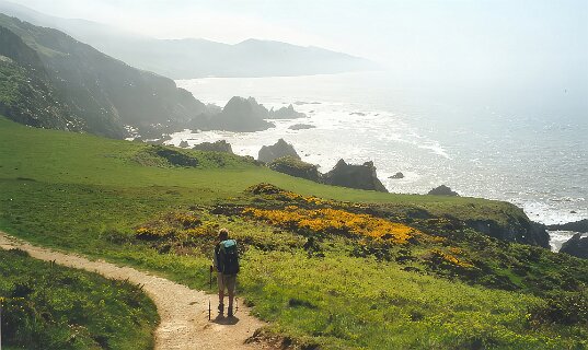 21: 1-33A_Bull_Point