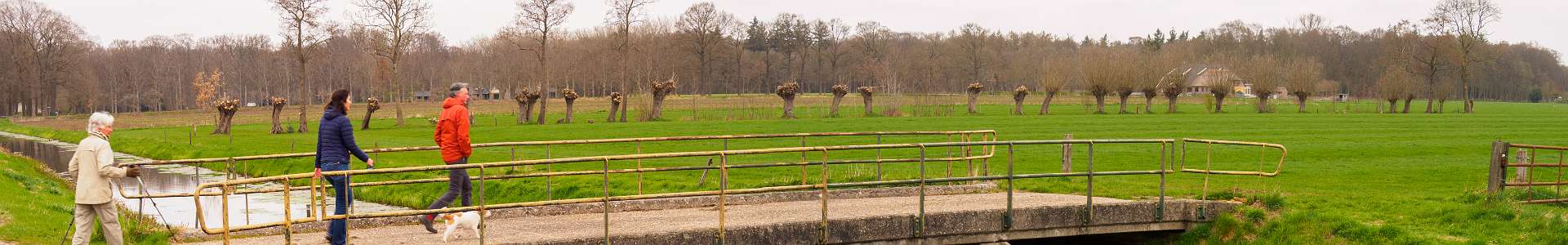 Klik om de knoppen te tonen of te verbergen