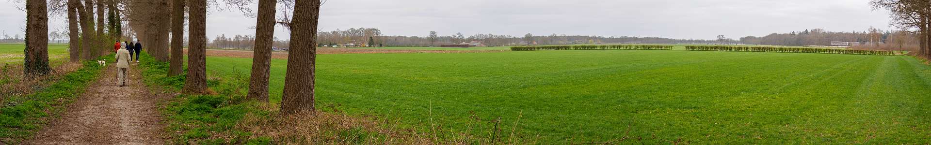 Klik om de knoppen te tonen of te verbergen