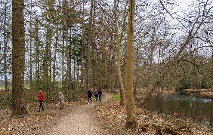 Zeedijk Den Alerdinck