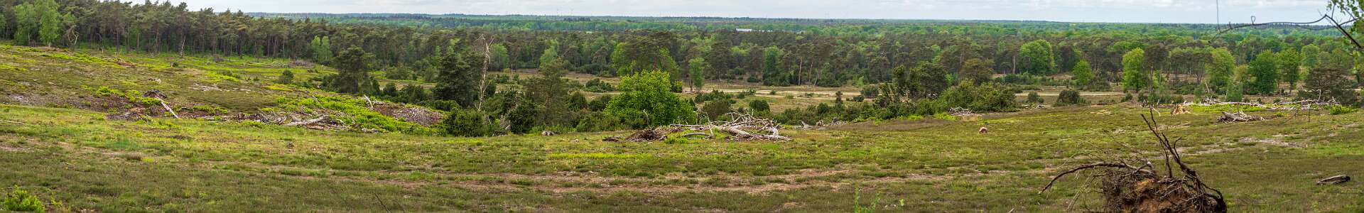 Klik om de knoppen te tonen of te verbergen