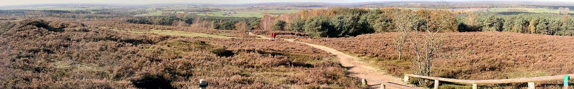 Klik om de knoppen te tonen of te verbergen