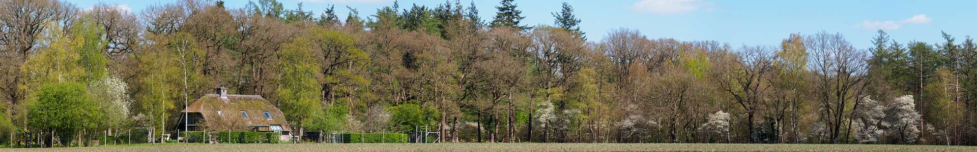 Klik om de knoppen te tonen of te verbergen