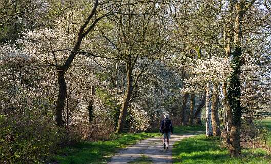 Achemerberg, Eerde<br>Landgoed Eerde