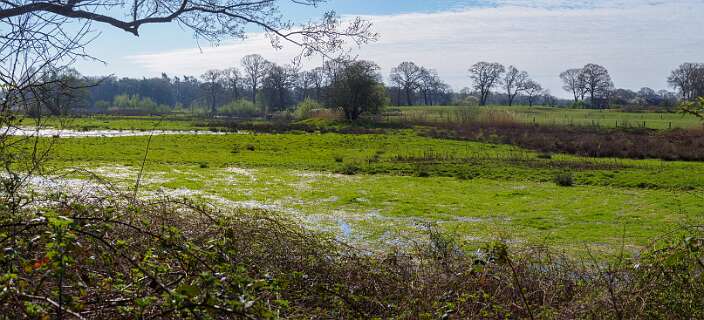 Achemerberg, Eerde<br>De Regge