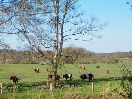 Achemerberg, Eerde<br>Lakenvelders
