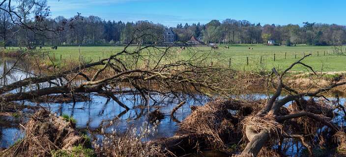 Achemerberg, Eerde<br>Omgevallen bomen in de Regge, aan de overkant Archem