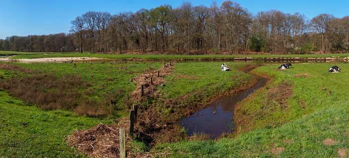 Achemerberg, Eerde<br>De Regge