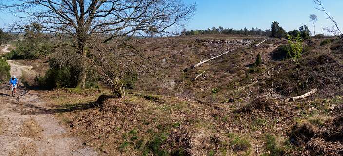 Achemerberg, Eerde<br>We bestijgen de Archemerberg