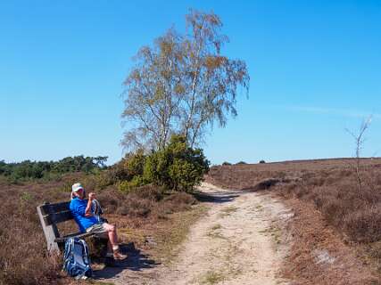 Achemerberg, Eerde<br>Lunch