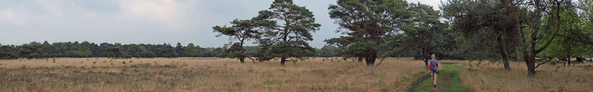 Klik om de knoppen te tonen of te verbergen