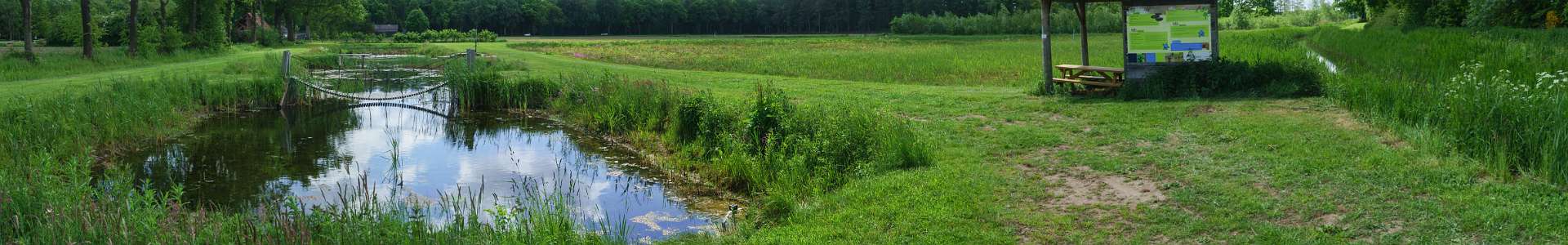 Klik om de knoppen te tonen of te verbergen