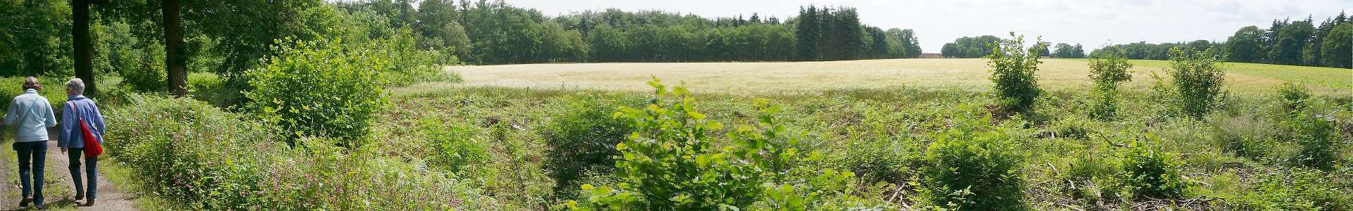 Klik om de knoppen te tonen of te verbergen