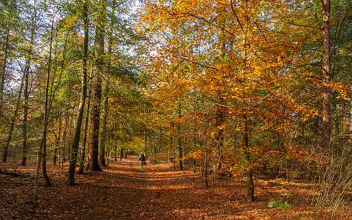 Noetselerberg, Salland