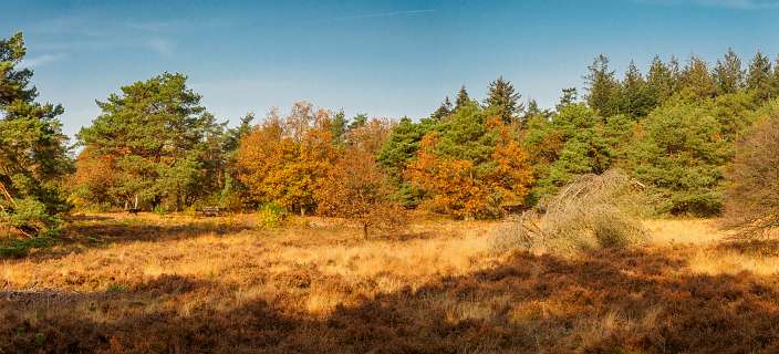 Noetselerberg, Salland