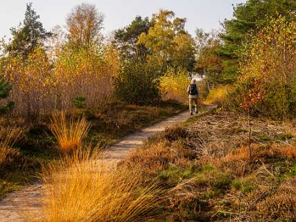Noetselerberg, Salland