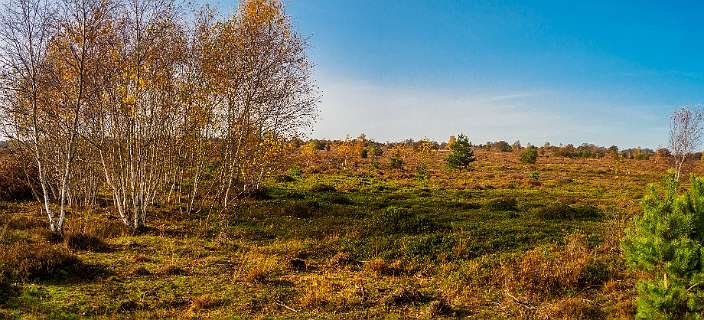 Noetselerberg, Salland