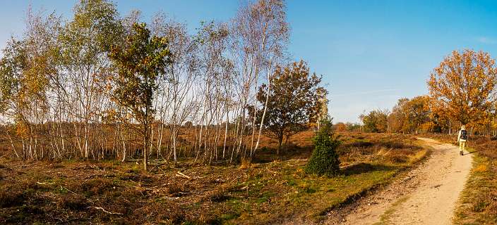 Noetselerberg, Salland
