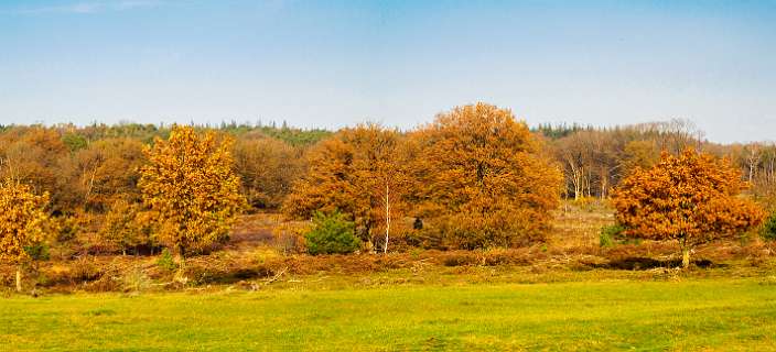 Noetselerberg, Salland