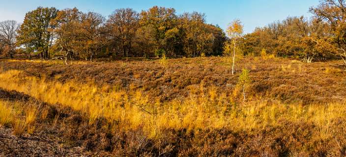 Noetselerberg, Salland